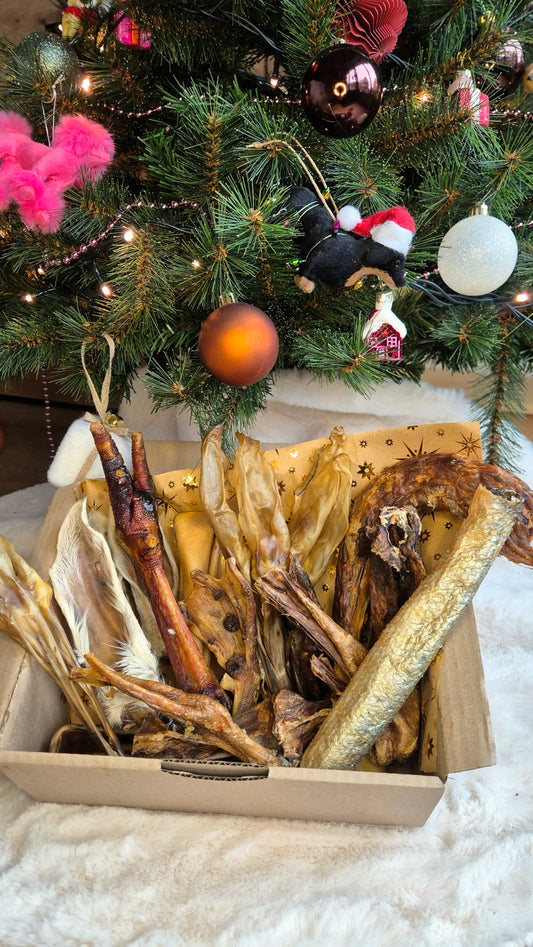 Kerstbox L voor honden vanaf 20 kilo