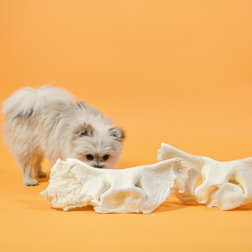 Boxen voor honden tot 3 kilo