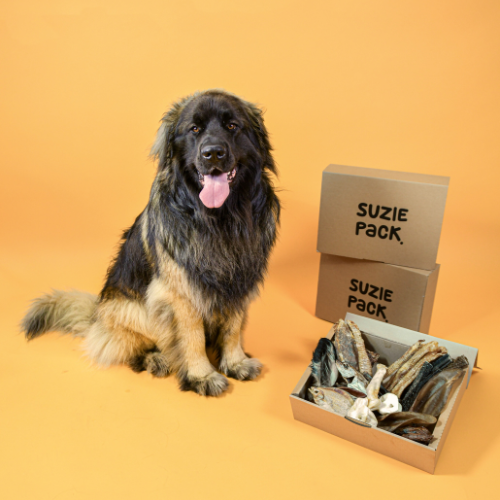 Boxen voor honden vanaf 35 kilo