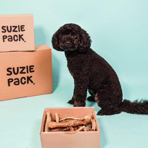 Boxen voor honden van 3 tot 10 kilo