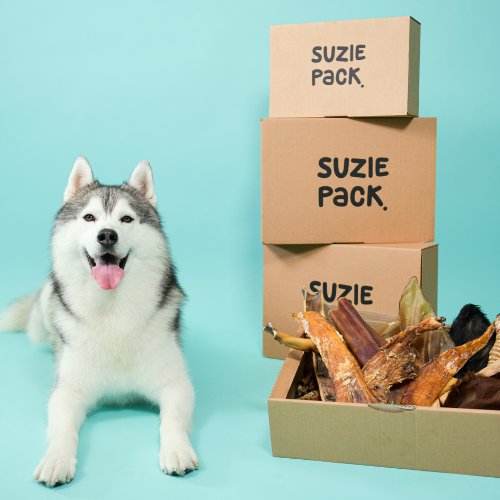 Boxen voor honden van 20 tot 35 kilo