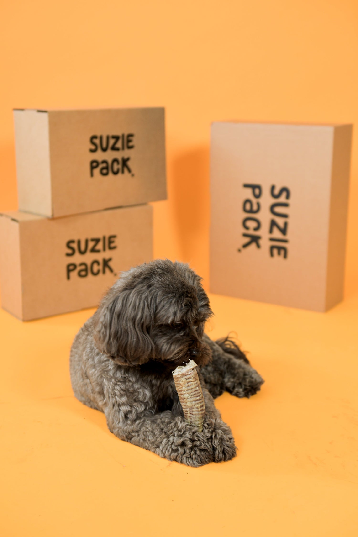 Een mix van harde en zachte snacks