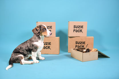 Puppy Box M