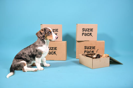 Puppy Box M