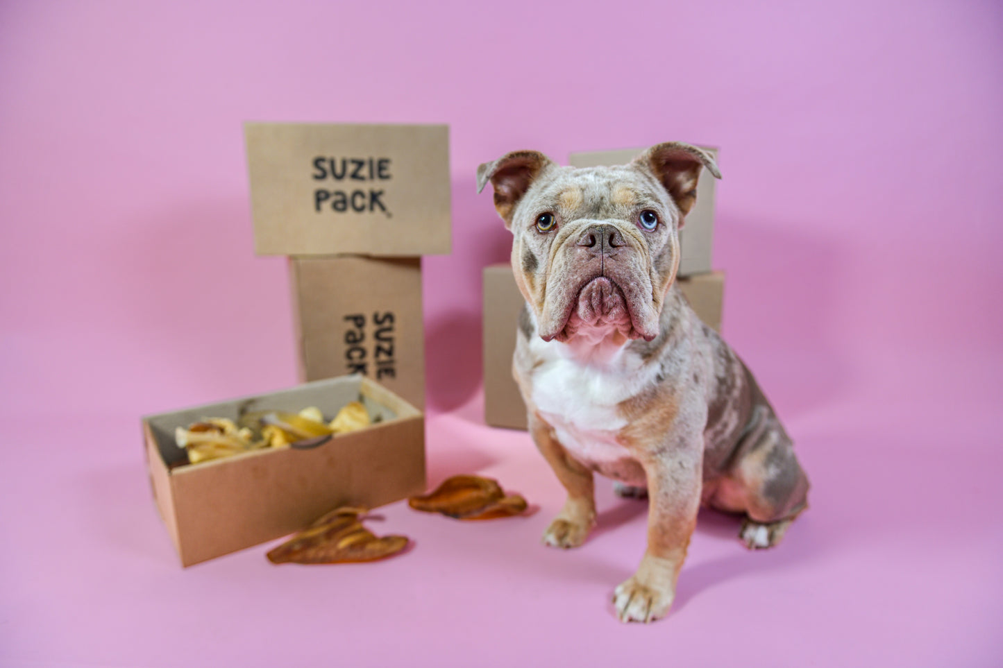 Harde Snackbox M