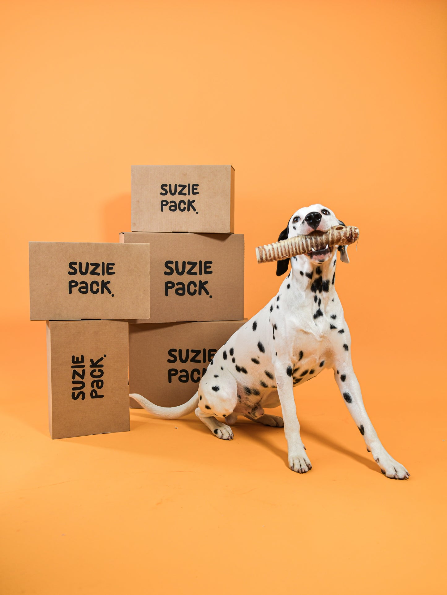 Harde Snackbox L