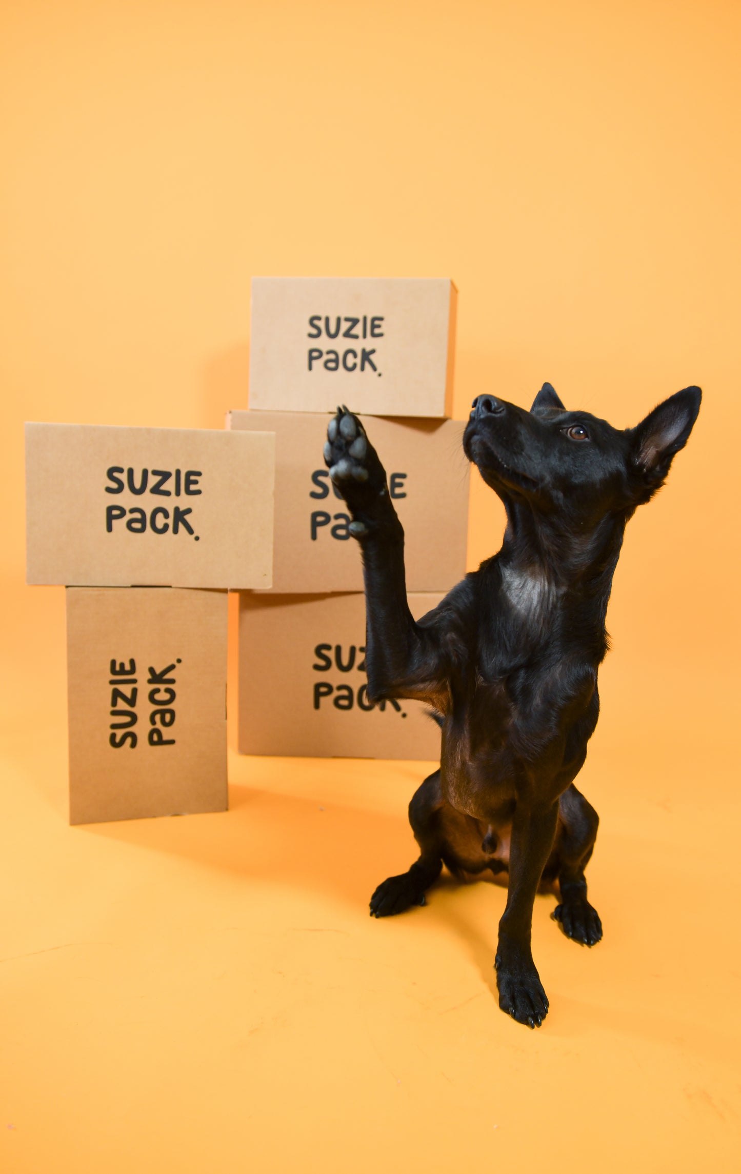 Hypoallergeen Box M