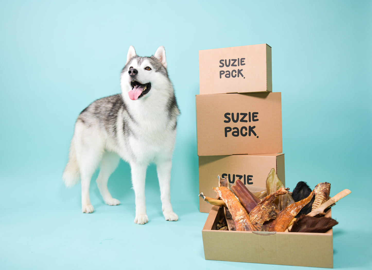 Harde Snackbox L