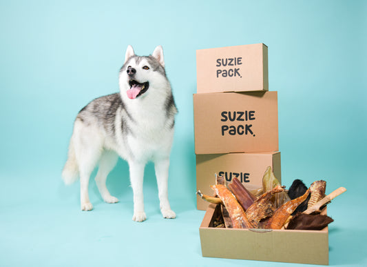 Harde Snackbox L